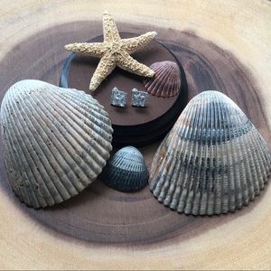 Stunning stud earrings